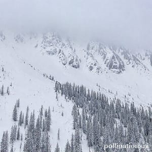 Avalanche Warning Issued for Five Districts in Jammu and Kashmir